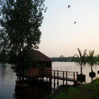 Pooja Farms In Kolad, Maharashtra, Kolad 4